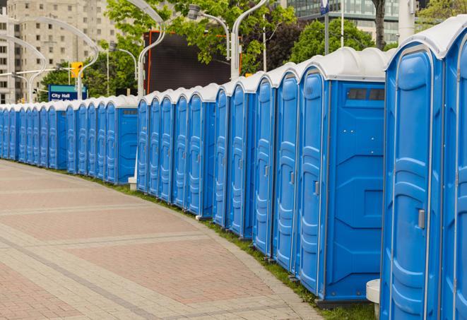 Seasonal porta potty units set up at a Charleston, South Carolina venue